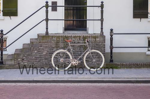 Gazelle Van Stael Retro specs and reviews